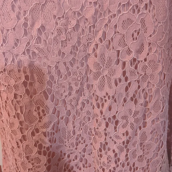 Adrienne Vittadini Pink Lace Blouse S New - Picture 3 of 6